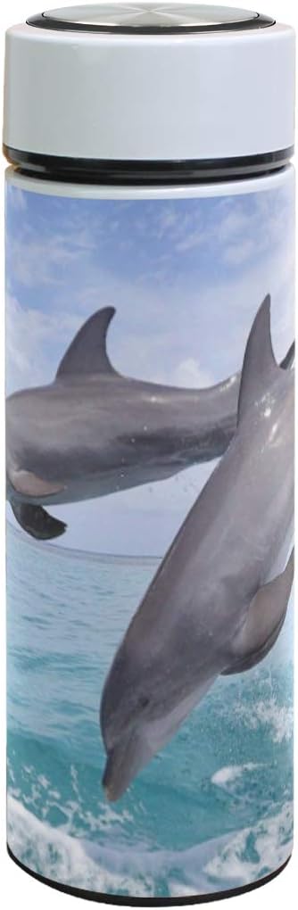 Best Cookinex Stainless Steel Vacuum Thermos