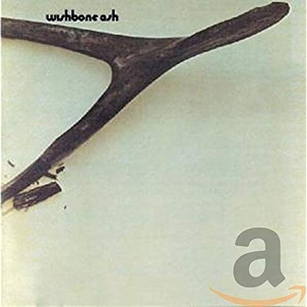 レア！！WISHBONE ASH国内紙ジャケCD12枚　特典帯、アーガスBOX付 Argus: WISHBONE ASH: Amazon.ca: Music