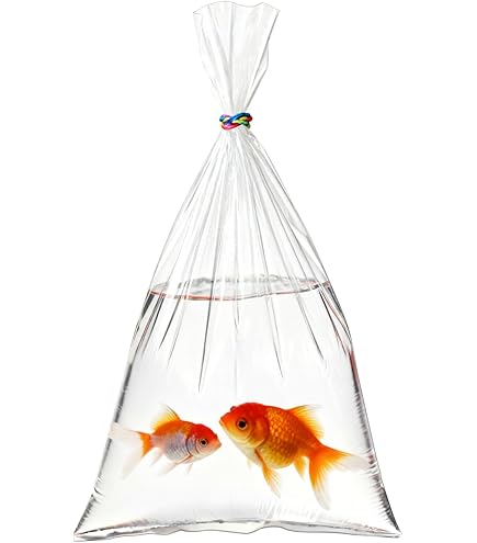 https://images-na.ssl-images-amazon.com/images/I/51KUuo9jBlL._AC_UL495_SR435%2C495_.jpg