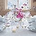 LSA PE04 Pearl Champagne Flute 8.5 fl oz/H9.25in x 4
