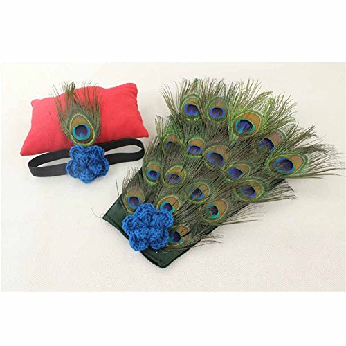 ZTL Newborn Baby Photography Props Novelty Peacock Costume Outfits with Headband