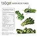 Tsogo Garden Greens Powder Blend | Premium Whole Vegetable Powder, 41g 41 Servings of Premium Quality 100% Freeze-Dried Spinach, Kale, Collard Greens & Broccoli - No Added Flavors, Fillers or Sugars
