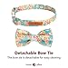 Lionet Paws Dog and Cat Collar with Bowtie,Soft and Comfortable,Adjustable Collar