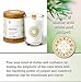 Root Candles Seeking Balance Small Spa Candle, 6.5-Ounce, Illuminate: Juniper Rosewood