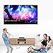 Mediasonic HOMEWORX HW220STB Digital Converter Box with Karaoke, TV Recording, and Media Player Function