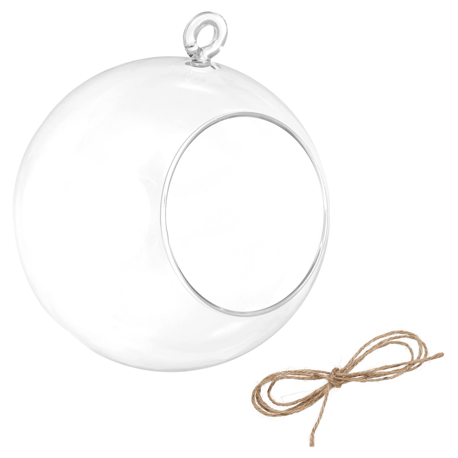 PATIKIL Round Globe Terrarium Air Plant Planter, 5.4 Inch High Borosilicate Glass Hanging Decorations for Succulent, Tillandsia, Clear