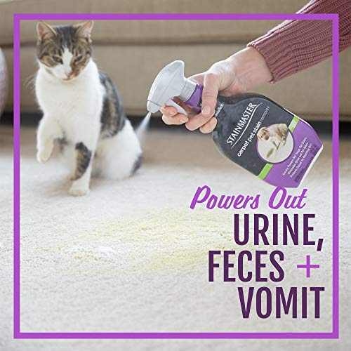4 STAINMASTER+Carpet+Pet+Stain+Remover