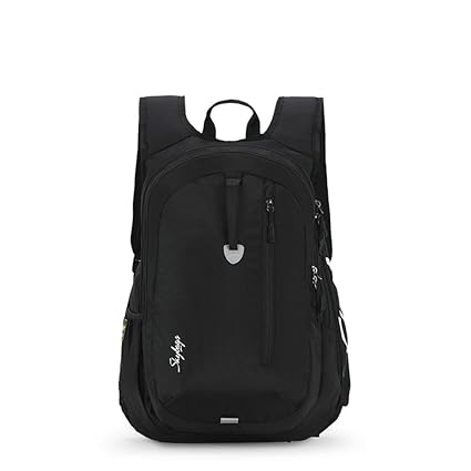 Skybags Xcide Plus 45 Ltrs Black Casual Backpack (SBXCP05BLK)