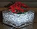 JellyBeadZ Brand - Huge 1 Pound Wate Beads Gel-16 Ounce. Heat Sealed Bag - Clearly Clear