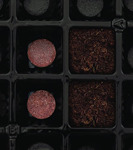 Burpee 72 Cell 72 Cell Self-Watering Seed Starting Kit, 72 Cell Black