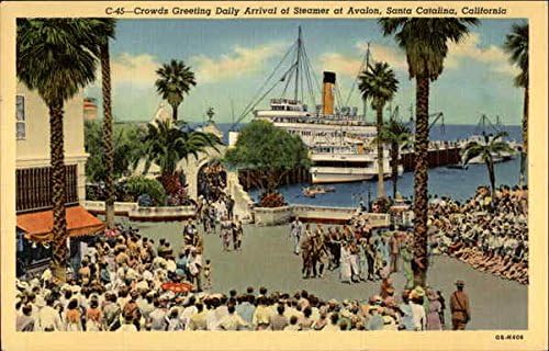 Getting To Catalina Island Find Transportation Tips Packages