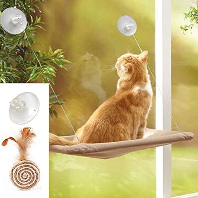 cat suction cup window perch