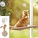 ZALALOVA Window Cat Seat, Cat Window Perch Hammock Space Saving Design w/1Pc Funny Cat Toy 1Pc Extra Suction Cup Window Seat Cat Shelves All Around 360° Sunbath Holds Up to 50lbs for Any Cat Size