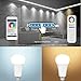 Mi-Light High power 1500lumens 2.4Ghz RF Remote And Touch Panel Control 12W Colour Changing Led Light Bulb Fully Dimmable Kelvin From Warm White 2700k To Cool White 6500k