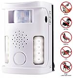 Hoont™ Powerful Electronic Outdoor/Indoor Animal & Pest Repeller - Motion Activated