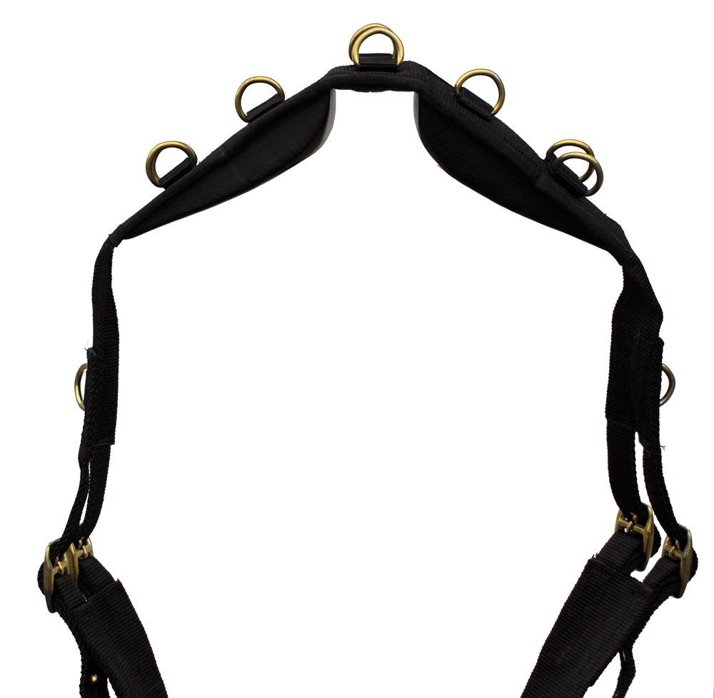 Equestrian New Nylon Lunge Roller Adjustable Lunging Training Soft