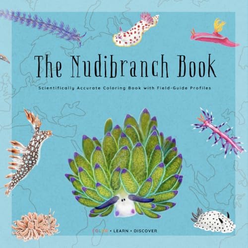 ウミウシガイドブック　洋書　美品　Nudibranchs NUDIBRANCHS: Nature's Most Colorful Sea Slugs: An In-Depth Guide
