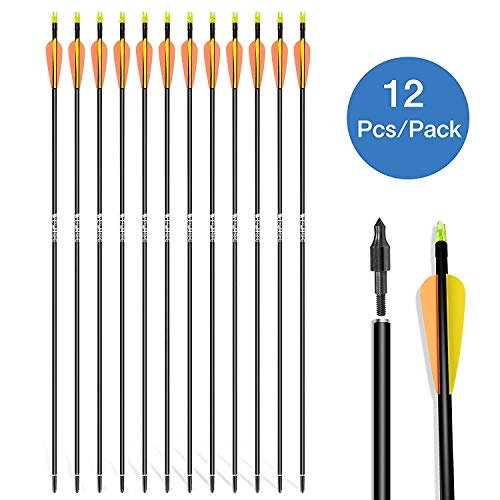 WDLHQC Fiberglass Arrows Archery 31 Inch Target Shooting Practice Arrows Recurve Bows Suitable for Youth Compound & Recurve Bow Target (12Pcs/Pack) - Thumbnail 7