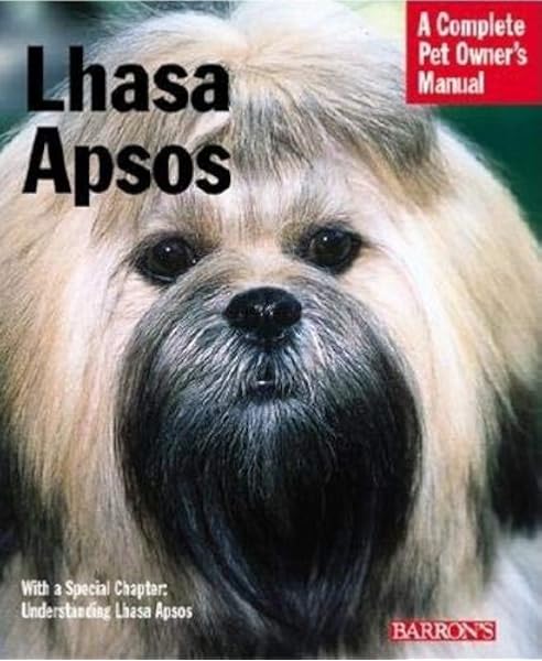 lhasa apso intelligence
