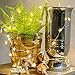 FASTDEER LED Star String Lights 16ft with 50 LEDs Remote Control Fairy Lights, Battery Operated, 8 Modes, Waterproof Outdoor & Indoor Decorative Lights for Bedroom, Garden, Parties (Warm White)