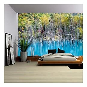 Blue Pond Aoiike in Biei, Hokkaido - Removable Wall Mural | Self-Adhesive Large Wallpaper - 66x96 inches