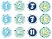 Pearhead First Year Monthly Milestone Photo Sharing Baby Belly Stickers, 1-12 Months, Blue