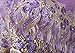 pqdaysun 5 Yards African Lace Fabrics Nigerian French Beaded Tulle Fabric (purple)