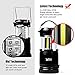 WINNER OUTFITTERS 2 Pack Portable Outdoor LED Camping Lantern with Flashlight (Included 6 AA Batteries)