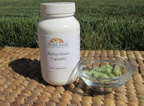 Barley Grass Capsules - Organic - 240 Count - 500mg Each (Hordeum Vulgare) Free Shipping