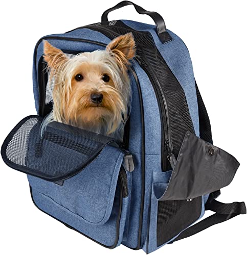 Flamingo BACK PACK WIRO BLUE 40x25x41CM