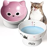 Elevated Cat Bowls Set of 2, Ceramic Tilted Raised Cat Food Bowls Protect Cat's Spine, Anti Vomiting and Whisker Fatigue, Pin
