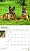 For the Love of German Shepherds 2019 14 x 12 Inch Monthly Deluxe Wall Calendar with Foil Stamped Cover, Animal Dog Breeds