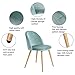 GreenForest Dining Chairs Set of 2, Modern Velvet Accent Leisure Side Chairs with Metal Legs for Living Room, Green
