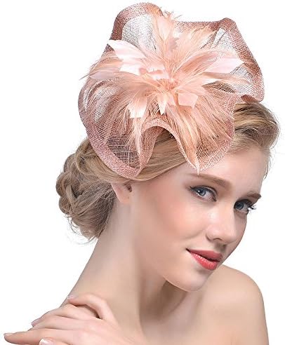 Wiwsi Fasion Feather Hair Clip Headpieces Fascinator Headband Hat Wedding Party
