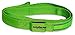 Lucky Day Pets LED Dog Leash Waterproof Nylon Webbing with Reflective Strips, 4 Feet Long, Green