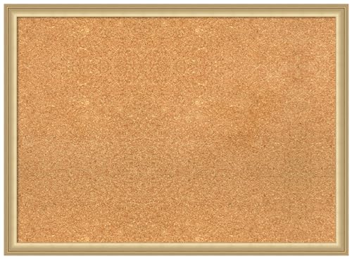 Amanti Art Natural Cork Board for Wall, 22x30 Vision Board with Gold Frame, Med…