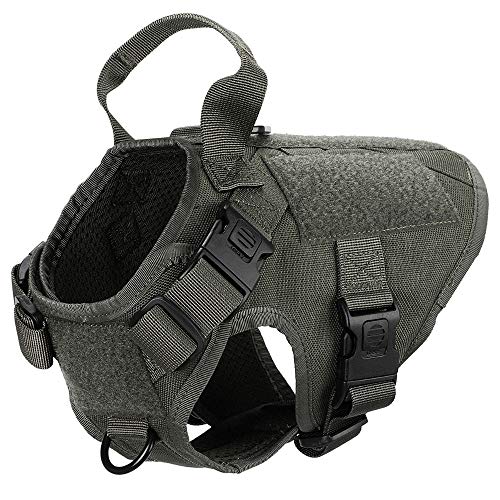 ICEFANG Terrier Tactical Dog Harness,Small K9 Puppy Dog Vest Hook and Loop Self Adhesive Tape for Dog Patch,Leash Clip Snap-Proof (XS (18"-23" Girth), RG-Plastic Buckle)