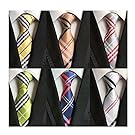 WeiShang Lot 6 PCS Classic Men's 100% Silk Tie Necktie Woven JACQUARD Neck Ties (Style 7)