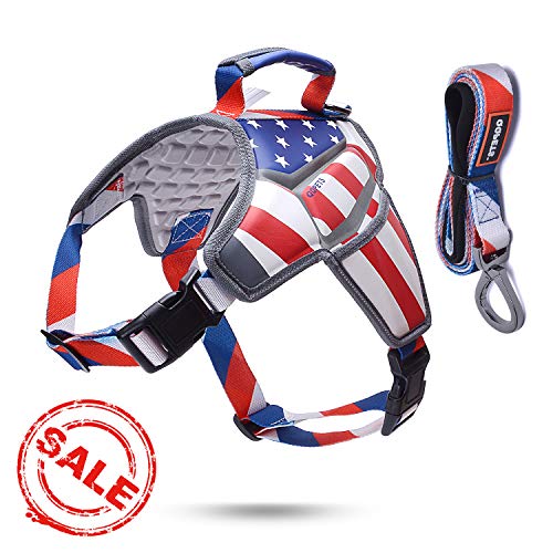 QQPETS Personalized Dog Harness Kit with a Matching Dog Leash, Breathable Massage Cushion and Cool Flag Design, Adjustable Dog Vest for Training and Outdoor Walking (L)