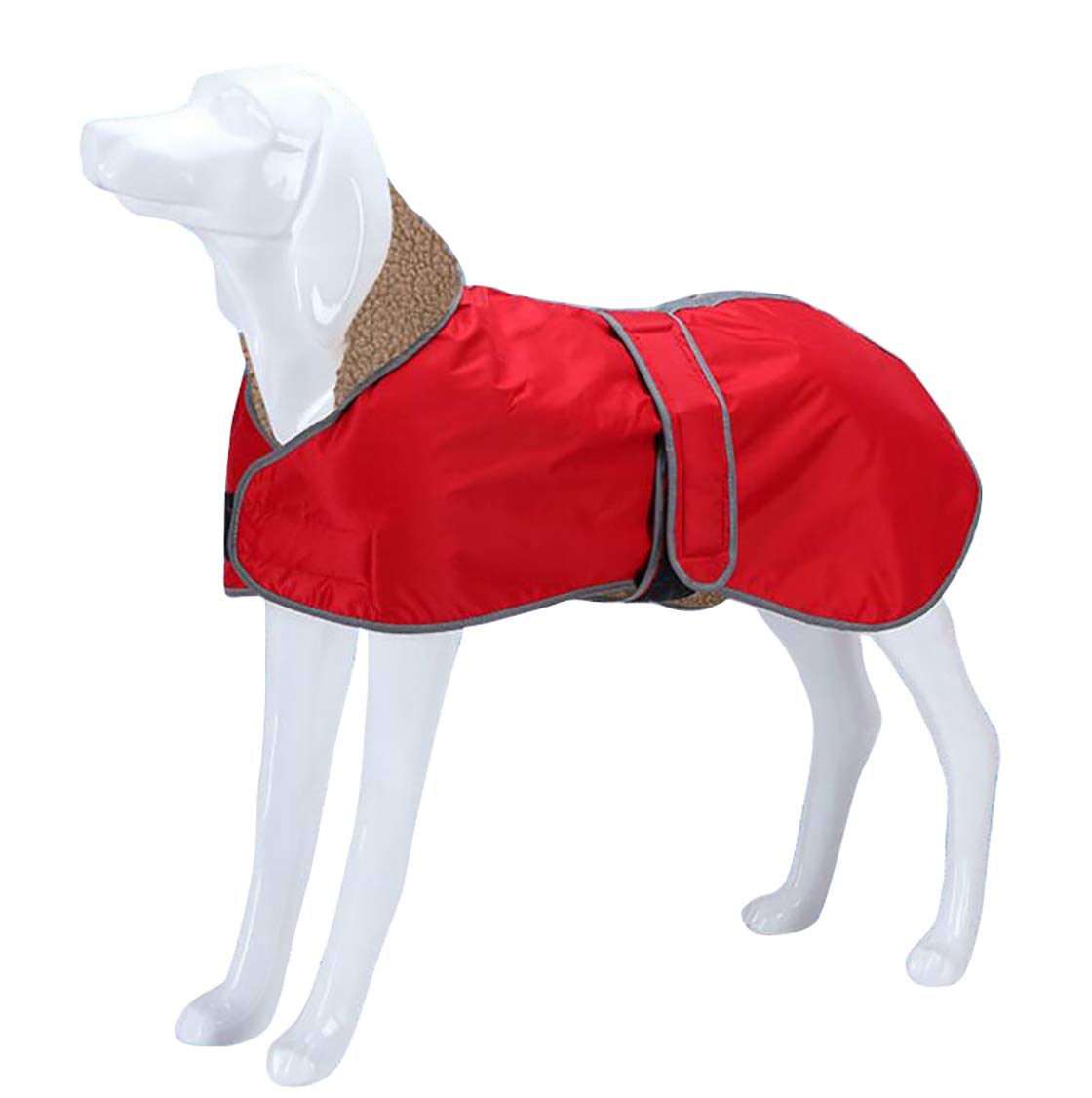 Morezi dog Clearance