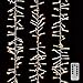 Christmas Cluster Lights 20 Foot Garland with 600 Warm White Lights on Clear Wire with Remote Control - Raz Exclusive