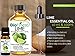 BioFinest Lime Oil - 100% Pure Lime Essential Oil - Protection Against Colds, Flu, Sore Throat - Premium Quality - Therapeutic Grade - Best For Aromatherapy - FREE E-Book (10ml)