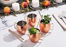 Sol Living Mint Julep Cups and Moscow Mule Bundle
