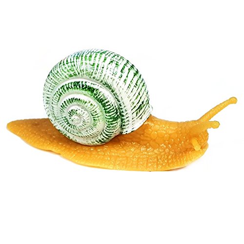 Blue Frog Toys Sticky Snail Toy with Hard Shell - Ideal For Jokes and Pranks