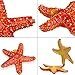 YU FENG Starfish Figurine Trinket Box Hinged Collectible Crystal Jeweled Sea Animal Decor Ornament