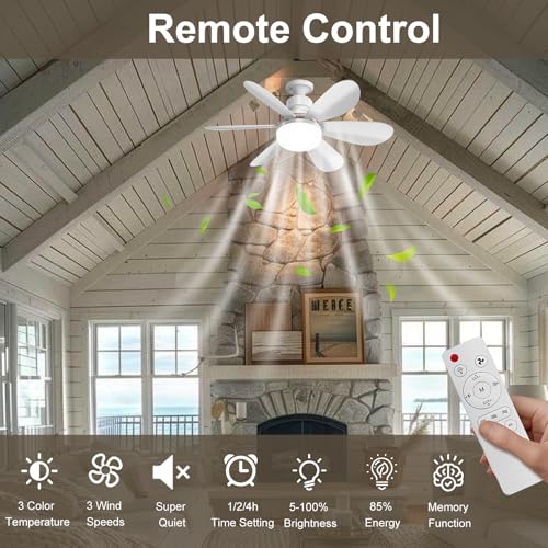 DBFAIRY 52cm Ceiling Fans with Lights, E27 Base Screw in Small Ceiling Fans Lights with Remote Timer 3 Colors Dimmable, 3 Speeds, 3000K-6500K LED Light for Bedroom Kitchen Office Dormitory