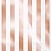 Rose Gold Party Supplies Elegant Foil Paper Plates, Napkins, Cocktail Napkins, Paper Cups for 16 People