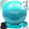 Exercise-Ball-Chair-55cm-65cm-75cm-Yoga-Ball-Stability-Ring-For-Pregnancy-Balance-Pilates-or-Birthing-Therapy-Use-at-Office-Gym-or-Home-Anti-Burst-and-Anti-Slip-Premium-Grade Exercise Ball Chair (55cm, 65cm & 75cm) - Yoga Ball & Stability Ring. For Pregnancy, Balance, Pilates or Birthing…