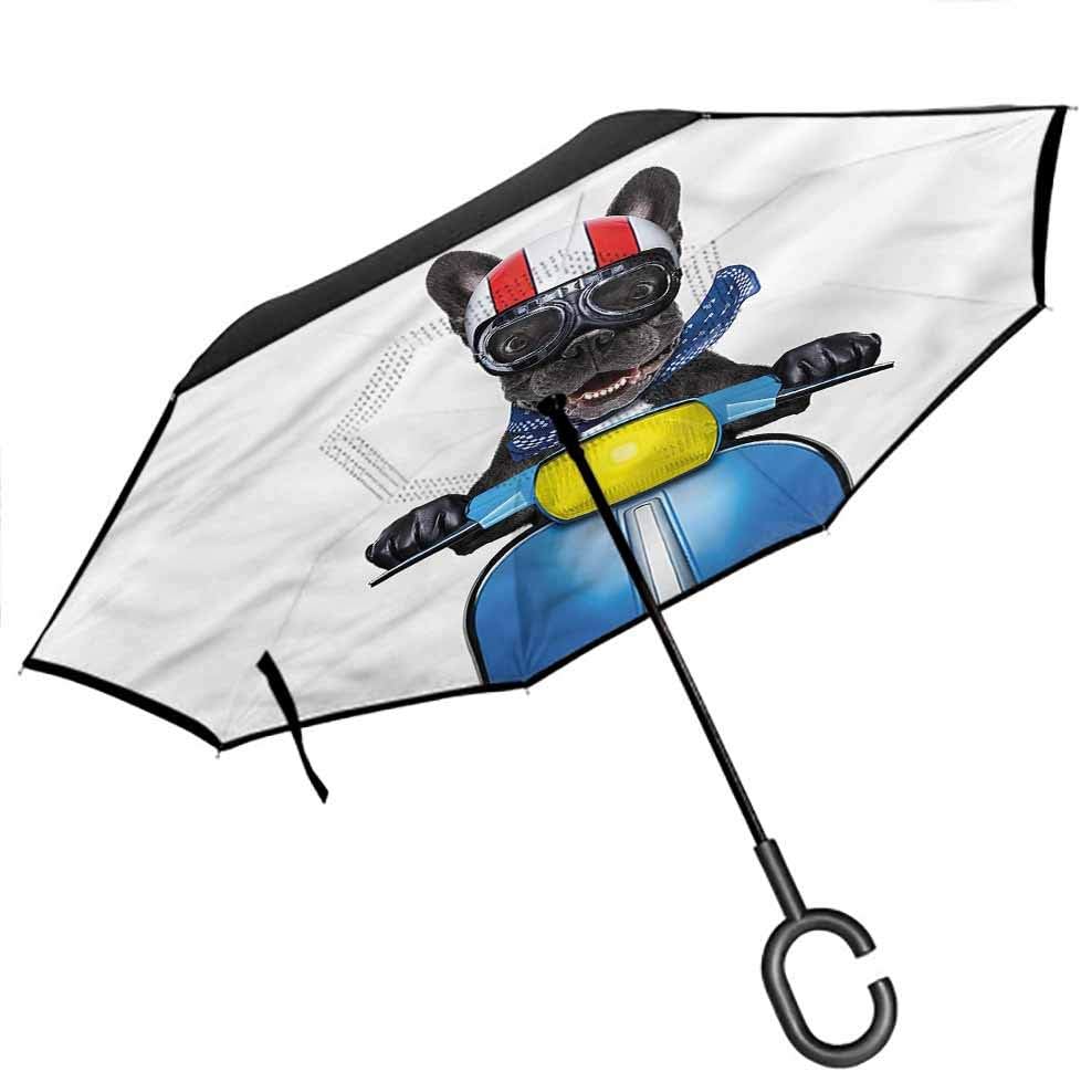 Kgblfd Diwali Car Reverse Umbrella, Watercolor Sketch Pattern Auto Open and Close Travel Umbrella, 42.5"x31.5"Inch