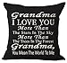 Andreannie Best Gifts Family is Everything Cotton Linen Throw Pillow Case Motivational Inspirational Quote Throw Pillow Case Cushion Cover Home Office Decorative Square 18 X 18 Inches (Pitch Black)